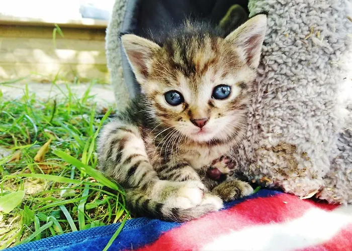 بيت ضيافة Am Simmhof